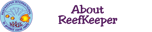 coral reef, coral reefs initiative, coral reefs, coral, reef, marine conservation, reefs, coral reef conservation