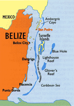 coral reef monitoring, reef monitoring, reefmonitor, reefmonitoring, belize, cypress canyon reef, tres cocos reef