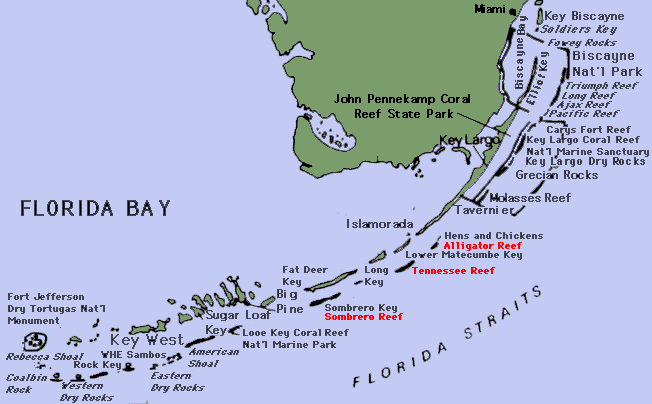 coral reef monitoring, reef monitoring, reefmonitor, reefmonitoring, florida keys, Alligator Reef, Delta Shoals, Crocker Reef, Sombrero Reef
