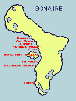 coral reef monitoring, reef monitoring, reefmonitor, reefmonitoring, bonaire,18th Palm, Bachelor Beach, Something Special, Cliff Reef