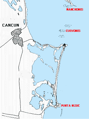 coral reef monitoring, reef monitoring, reefmonitor, reefmonitoring, cancun, manchones, manchones chico, cuevones, punta nizuc