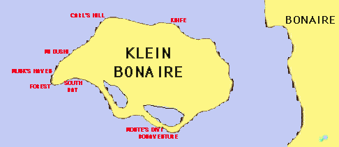 coral reef monitoring, reef monitoring, reefmonitor, reefmonitoring, klein bonaire, reef environmental assessment