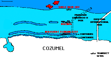coral reef monitoring, reef monitoring, reefmonitor, reefmonitoring, cozumel, paraiso reef, cardona, colombia shallows