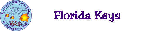 coral reef monitoring, reef monitoring, reefmonitor, reefmonitoring, florida keys, Alligator Reef, Delta Shoals, Crocker Reef, Sombrero Reef