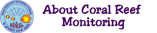coral reef monitoring, reef monitoring, coral reef monitor, data, monitors, rki