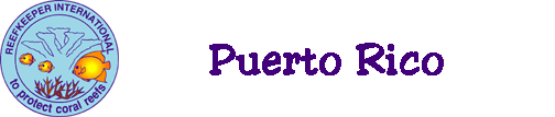coral reef monitoring, reef monitoring, reefmonitor, reefmonitoring, puerto rico, desecheo, la parguera, punta borinquen