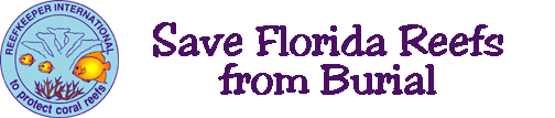 beach renourishment projects, beach renourishment, reef burial, Breakers Reef, reefalert, florida's coral reefs, petition