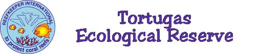 tortugas, dry tortugas,ecological reserve,florida keys, coral reef, conservation, rki, tortugas 2000