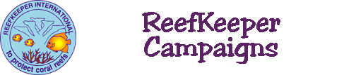 coastal development, overfishing, fish traps, beach renourishment, USCRTF, ship groundings, clean reefs, reef burial, reefkeeper, coral reef